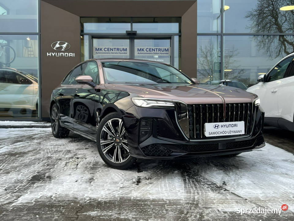 Hongqi H9 HONGQI H9 20T HEV 250 180kW Comfort bluetooth Piotrków Trybunalski