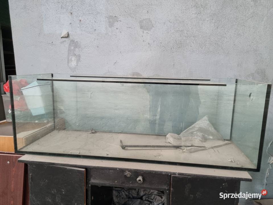 Akwarium 150x50x50 dolnośląskie Bielawa