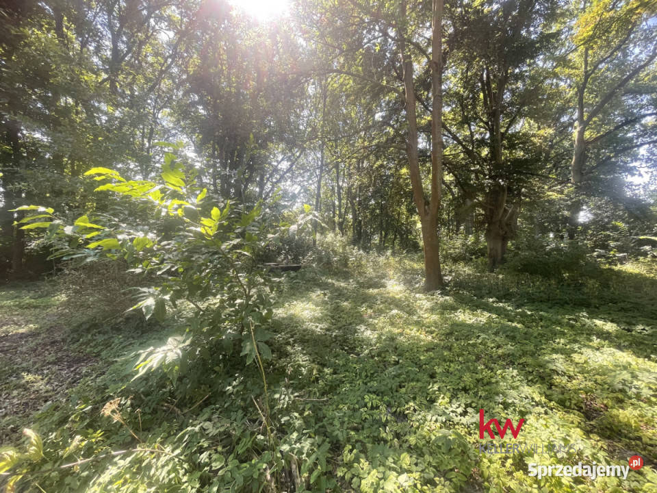 Dom wolnostojący Sielinko Parkowa 500m2 8000m2 sprzedam