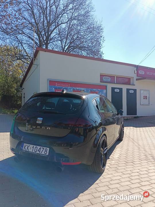 Leon 274hp wydech popsy procedura Niedźwiedź