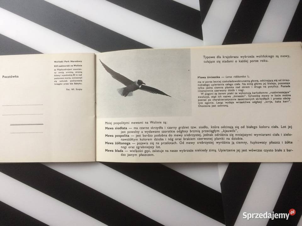 3558 Ptaki Wolińskiego Parku Narodowego Szczecin