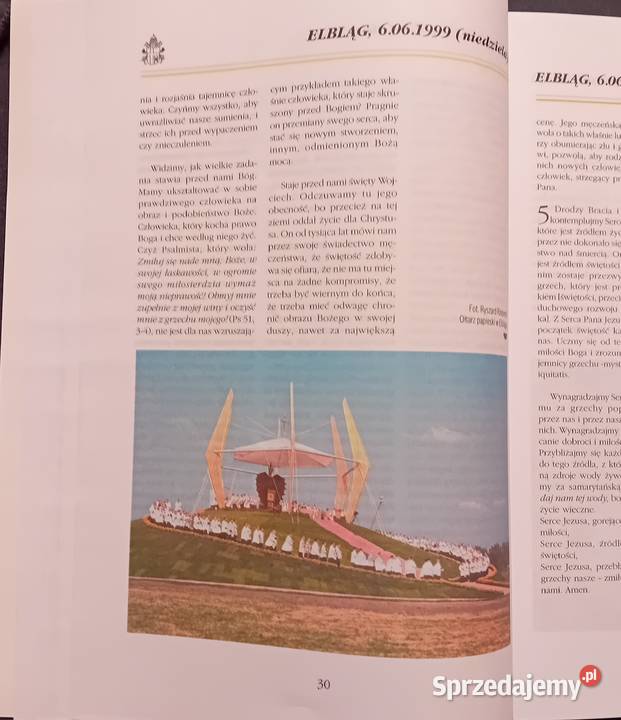 Pielgrzym błogosławieństw Homilie i przemówienia Koźminek