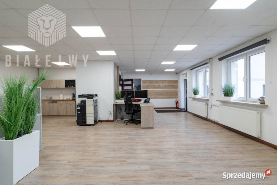 Lokal Kobyłka Kwiatowa 55191m2