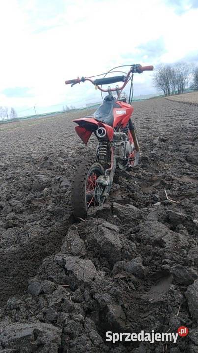 Cross 125 120 bemi mrf Wola Krzysztoporska sprzedam