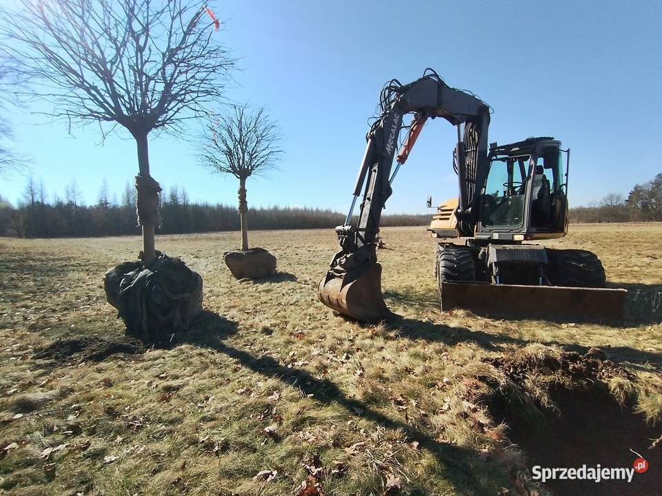 Usługi Koparką kołową Mecalac 714MW Roboty Wrocław