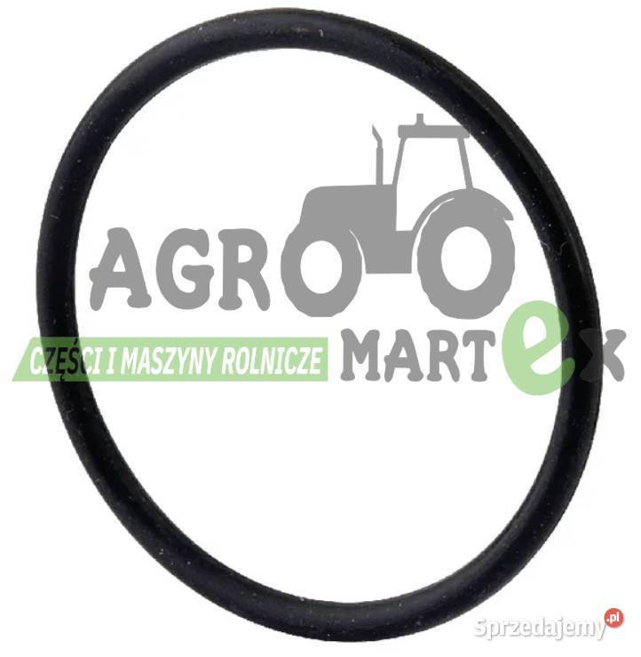 510121 2385227 21056R1 14464580 ORING CNH Części zamienne