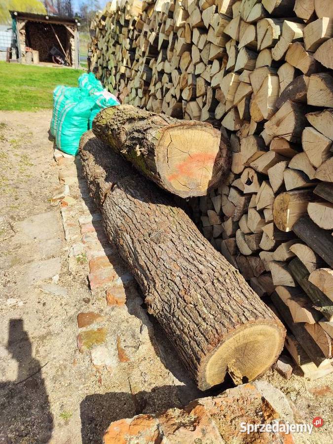 Kłody dębowe 25m opolskie Kamienna