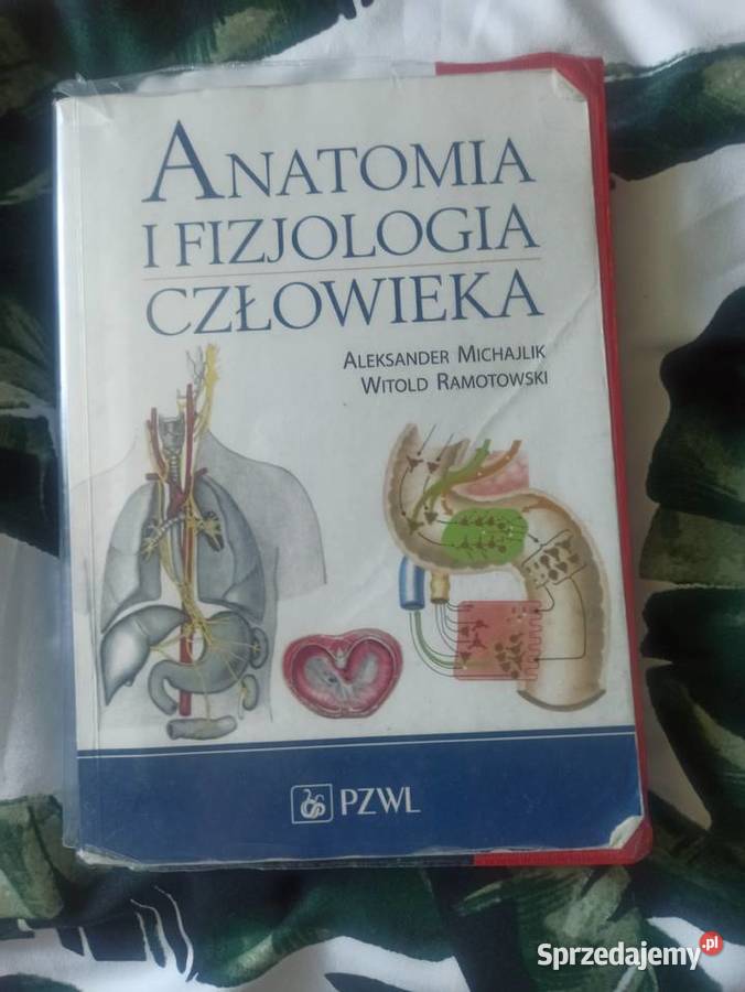 Anatomia i fizjologia człowieka Gryfice sprzedam