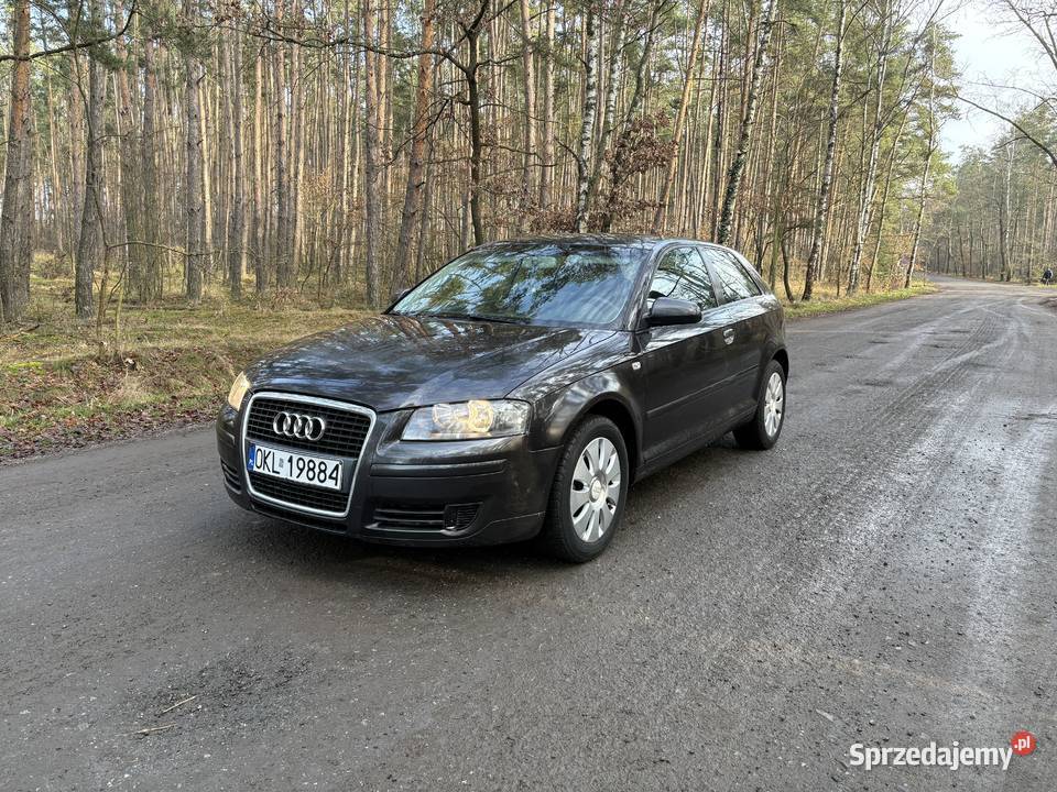 Audi A3 8P 19tdi 2005 zarejestrowane nowe 339750km Jelcz-Laskowice sprzedam