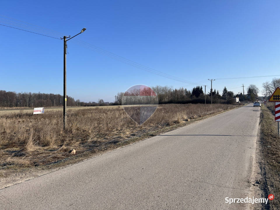 Działka inwestycyjna 2400 m2 Dąbrówka Zabłotnia Sprzedaż