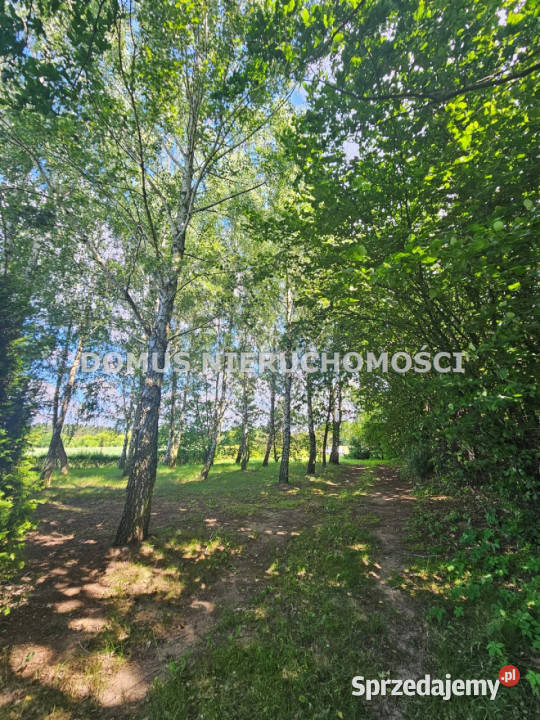 sprzedaży działki Królewo 1715m2 sprzedam