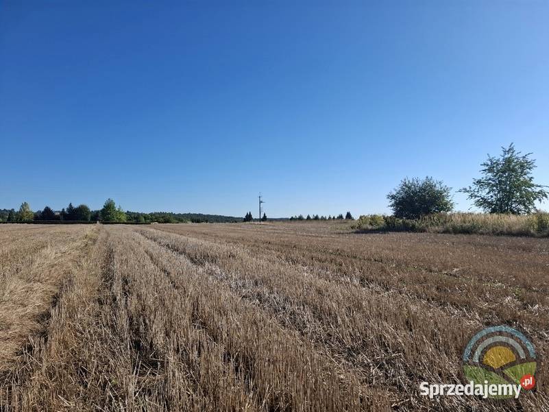 Brzoskwinia gm Zabierzów widokowa 39arowa