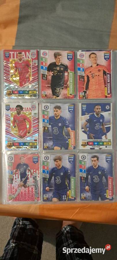 Karta panini album ponad 100 kart Rzeszów