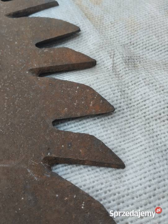 Piła tarczowa świętokrzyskie Ostrowiec Świętokrzyski