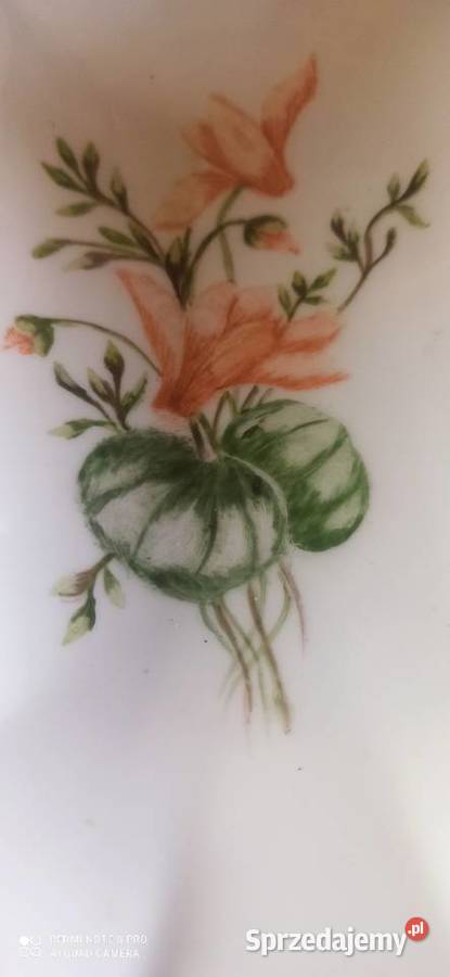 Patera podłużna Winne grono SygVictoria pomorskie Gdańsk sprzedam