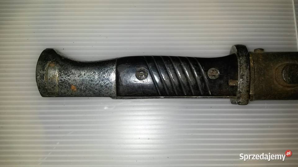 Bagnet Niemiecki wielkopolskie Poznań