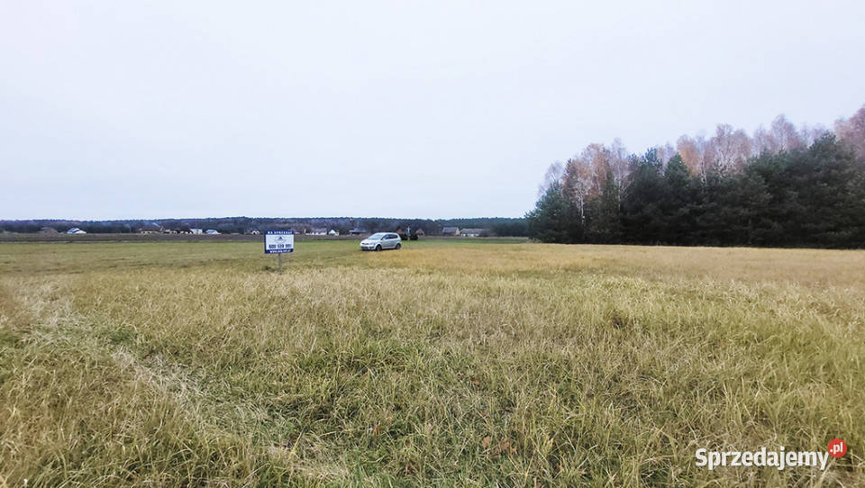 Malownicza działka 122 ha lesie Radawie