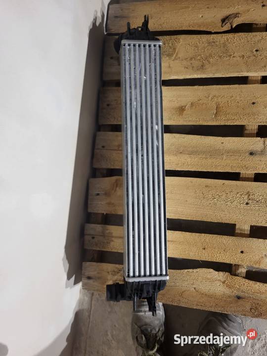 Intercooler VALEO Laguna 3 20turbo 20dci Jodłówka-Wałki
