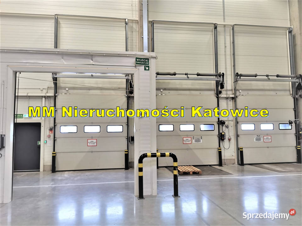 Hala 2 doki brama poziom 0 biura socjal Chorzów 743m2