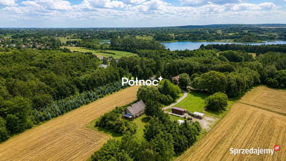 Siedlisko w Stańkowie wśród lasu5min Chełma Stańków