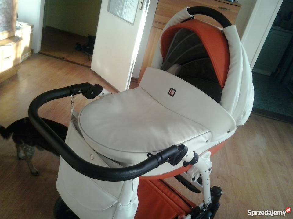 Tutek torero ecoskora Ciechanów