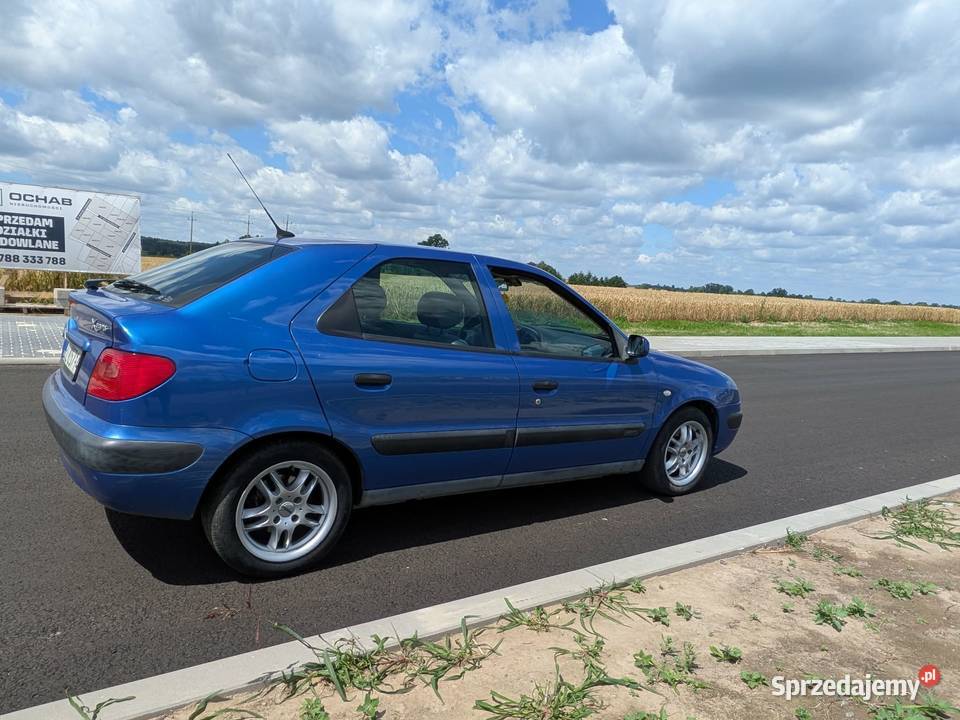 Citroen xsara Xsara Syców