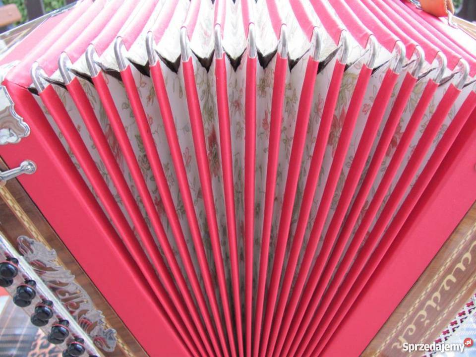 Harmonia guzikówka Hlavacek idealny stan żywiec śląskie Żywiec