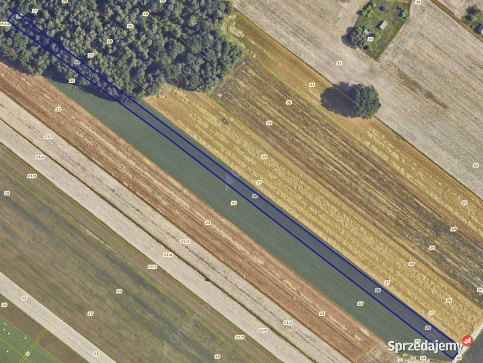 Działka rolnoleśna 280 ha ze STUDNIĄ 9zł/m2 Sprzedaż