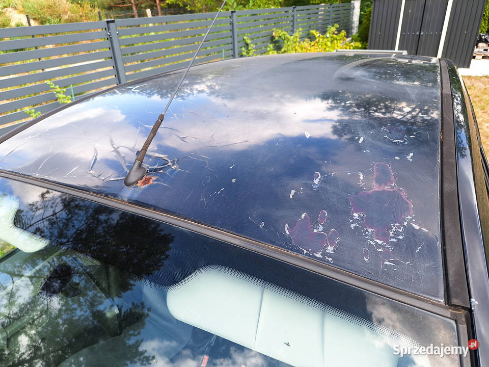 Ford Fusion 14 TDCi Ambiente 2004