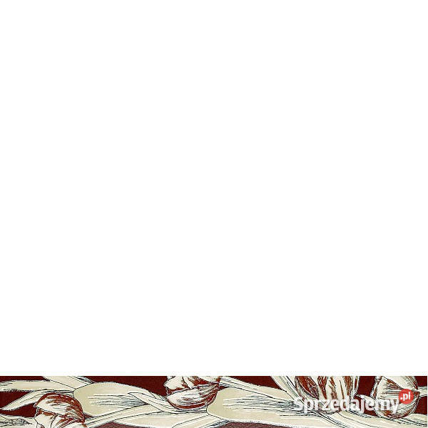 Listwa Chic Stone 1 wymiar 74 x 60 Tubądzin Białogard sprzedam