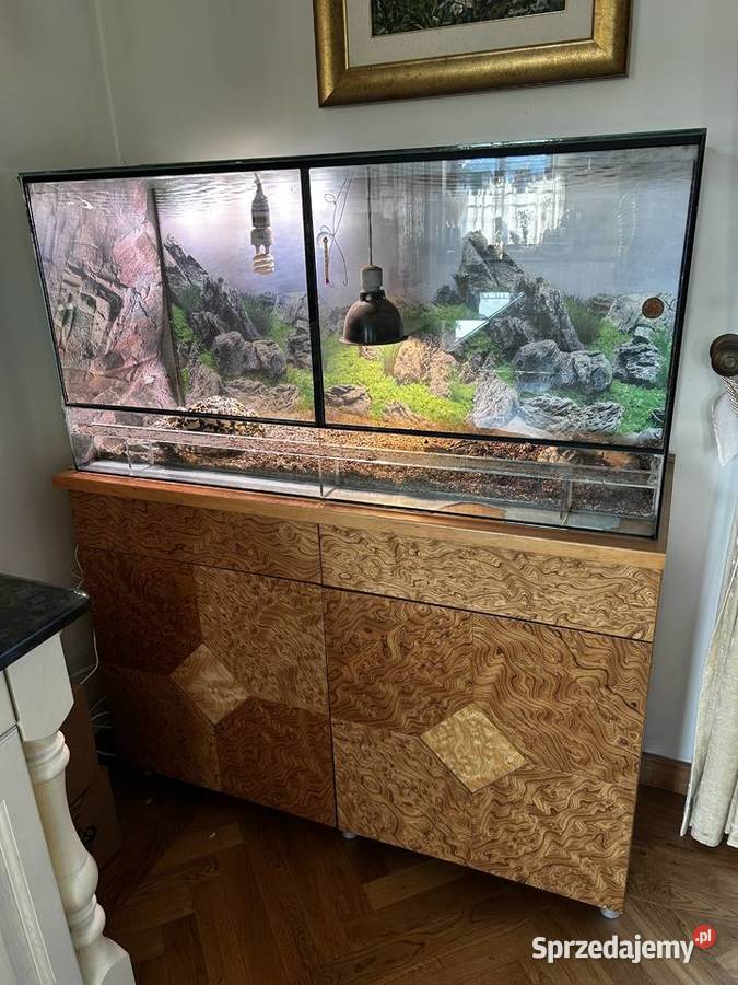 Żółw lamparci z terrarium i komodą łódzkie Łódź