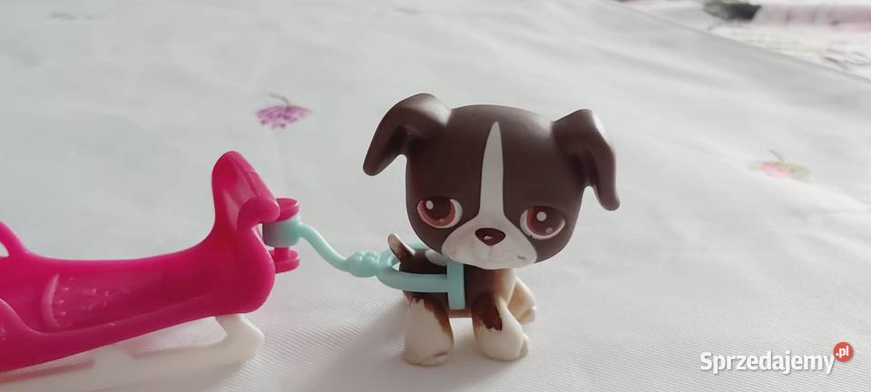 Piesek z sankami Hasbro zestaw
