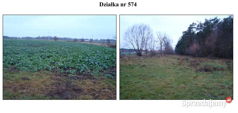 Syndyk Sprzeda Działki w miejscowości Krępa