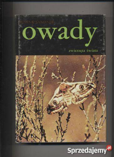 Owady  Zwierzęta świata