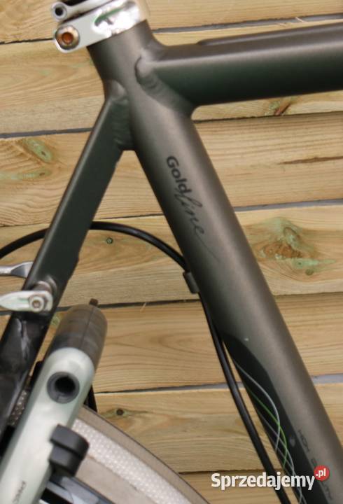 Rower męski Gazelle Lausanne H 61 I inne rowery Milanówek