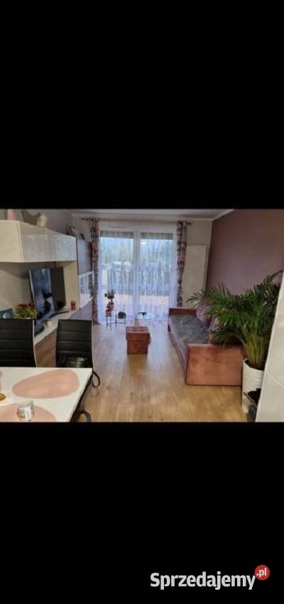 3pok 62met Kurlandzkiej OGRÓDKOMÓRKA2MP Wrocław sprzedam