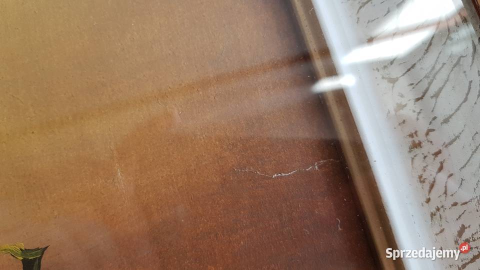 Stary obraz martwa natura w ramie skrzynkowej Dąbrowa Górnicza