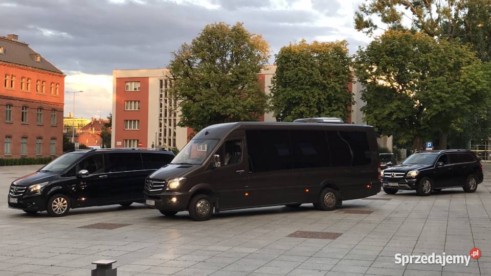 Transteambus bagażówki busy towarowe bagażowe Gdańsk