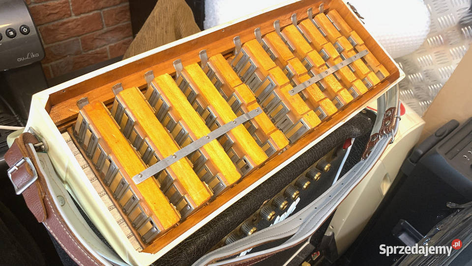 SOPRANI Ampliphonic Lido akordeon 120 basów