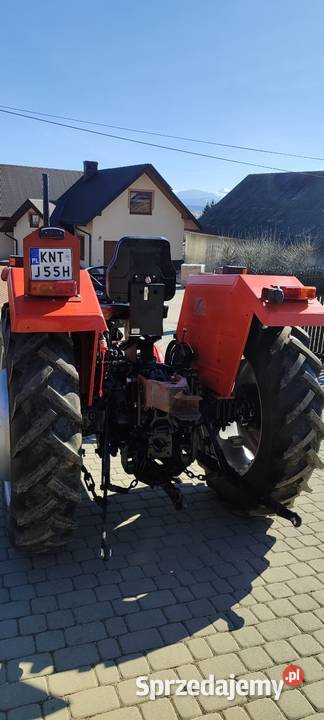 Massey Ferguson 255 Zadbany Jabłonka