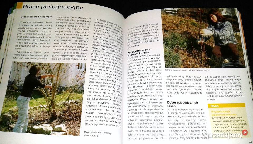 Ogród skalny Peter Himmelhuber Chełm