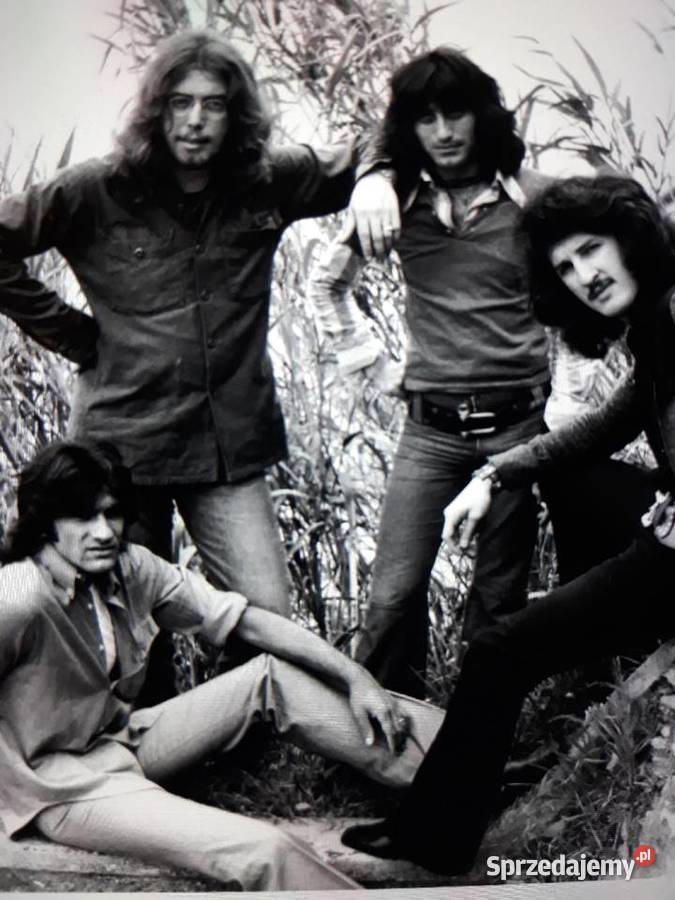 Perełka włoskiego Prog Rocka TROLLS Trolls 1970 Płyty i kasety Rzeszów