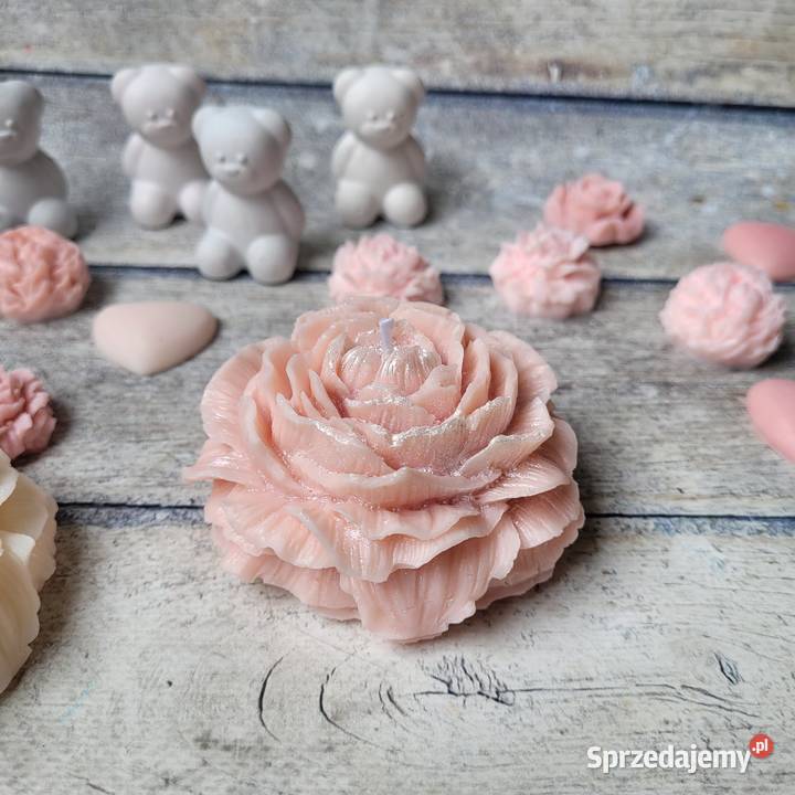 Świeca sojowa Piwonia Poznań