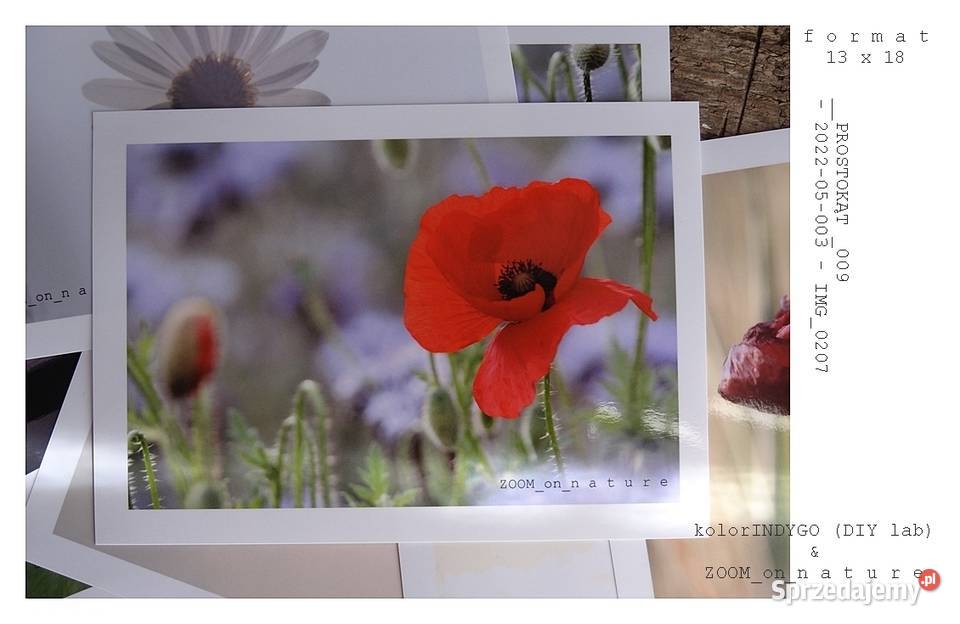 ZDJĘCIA przyrodnicze czII Witnica sprzedam