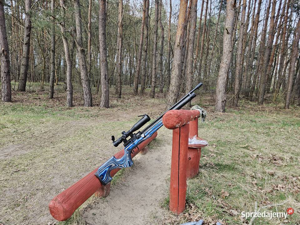 Reximex Lyra 45 blue laminate Zielona Góra