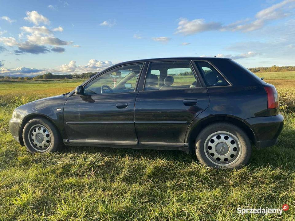 Sprzedam audi a3 polift 19 tdi 130 Hatchback Grajewo