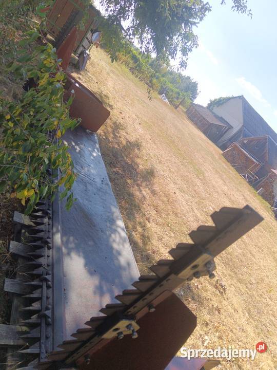 Stół do rzepaku Class 36 m Dwie kosy boczne