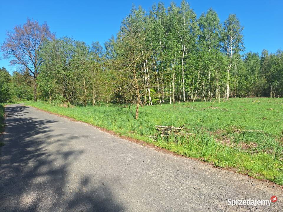 Działki w Małej Kamienicy 1124m2 Stara Kamienica