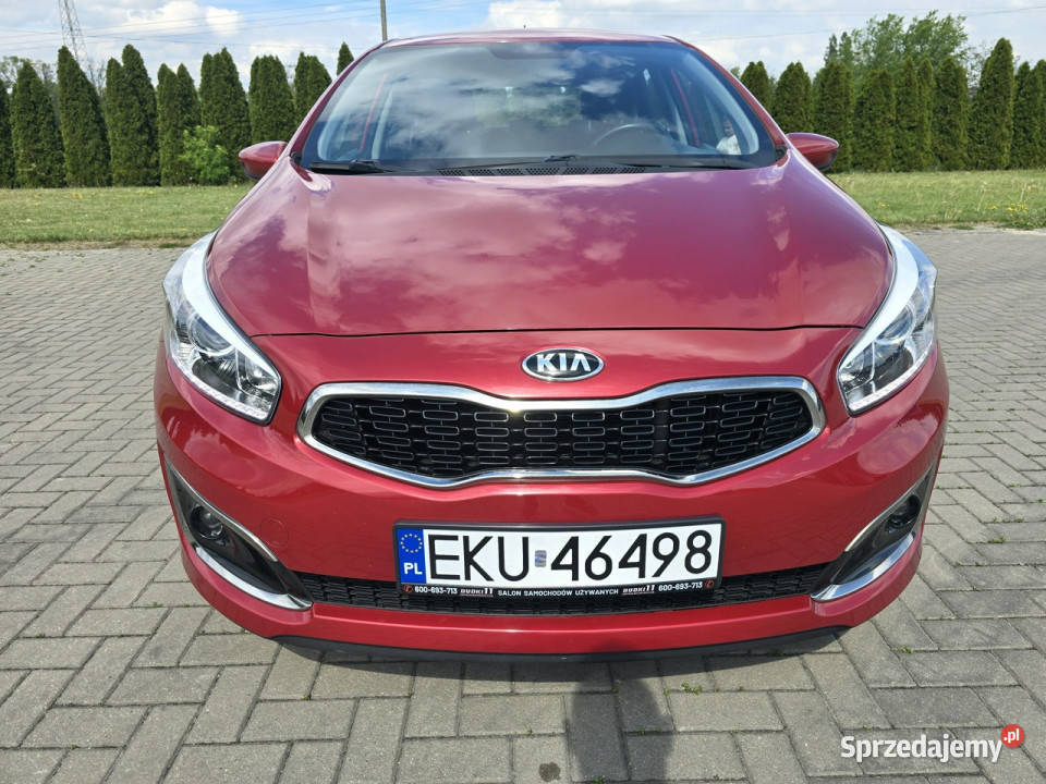 Kia Ceed 16crdi tempomat Kia Kutno