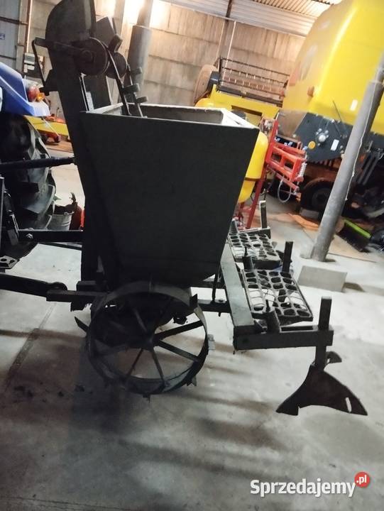 Sadzarka radła do ziemniaków kartofli Ostrów Wielkopolski sprzedam